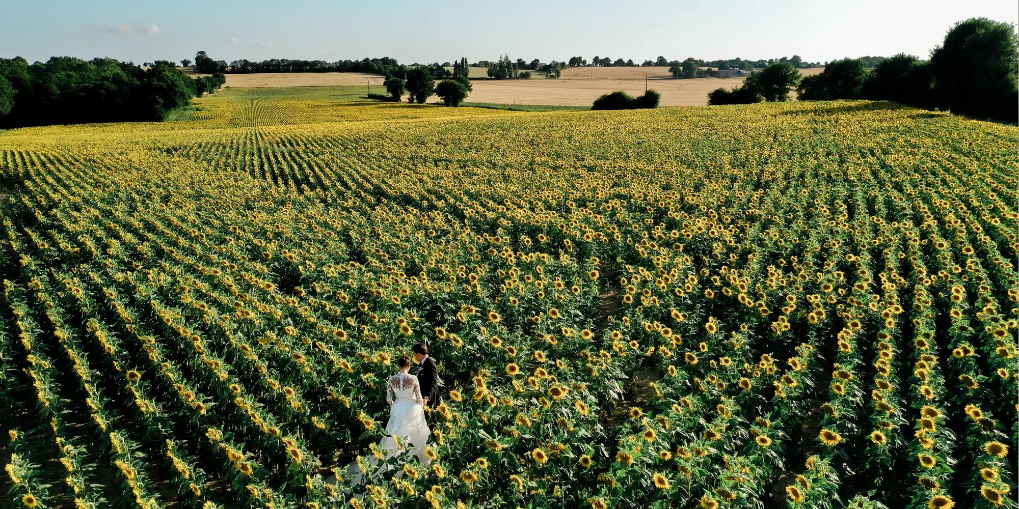 sunflower wedding france