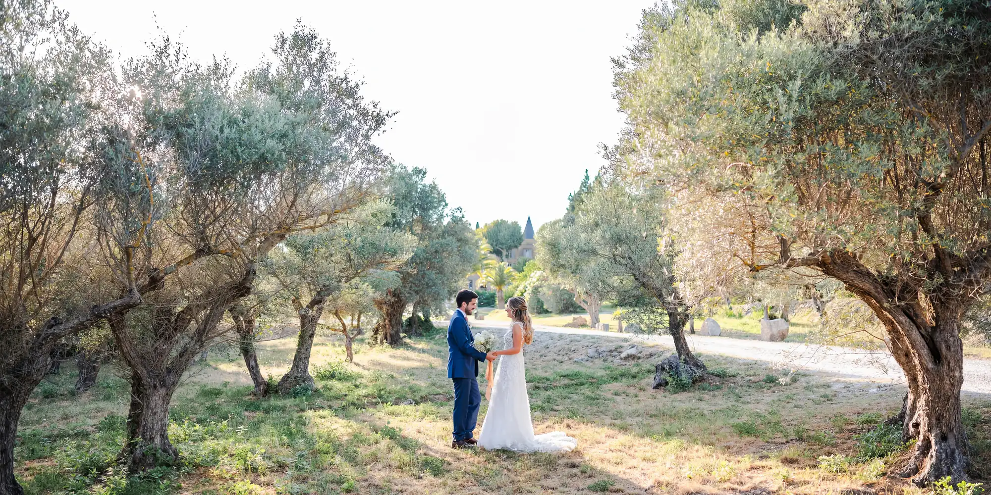 olive grove wedding france