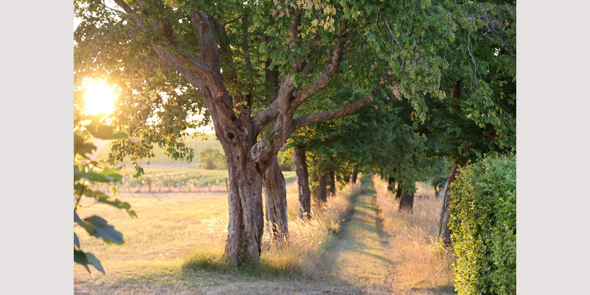 la cannonerie natural setting wedding venue