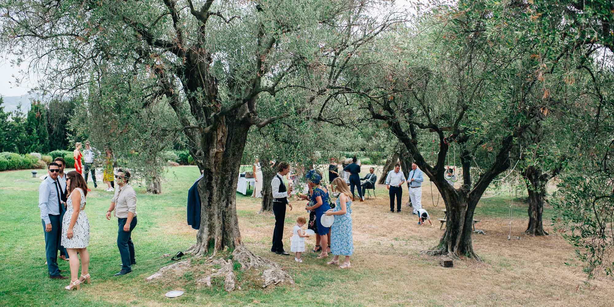 french wedding venue olive tree