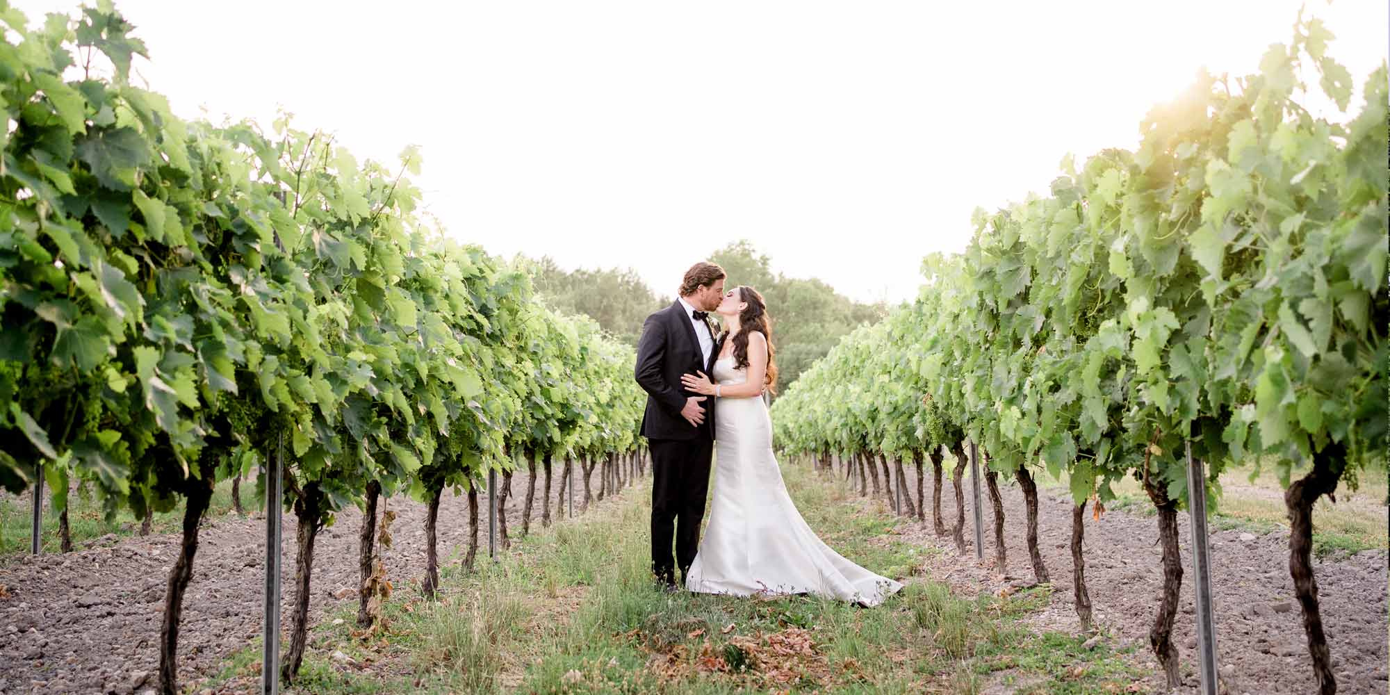vineyard wedding venue