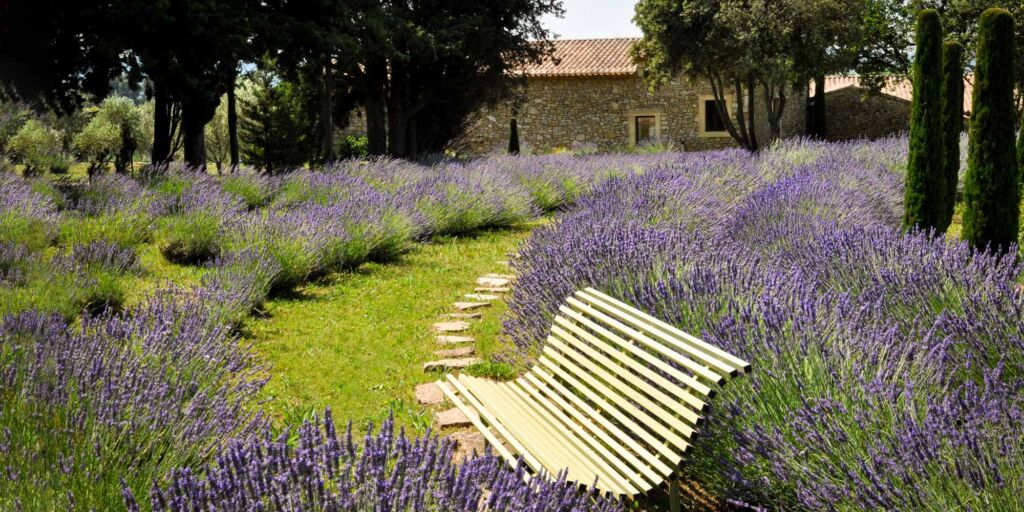 Lavender wedding