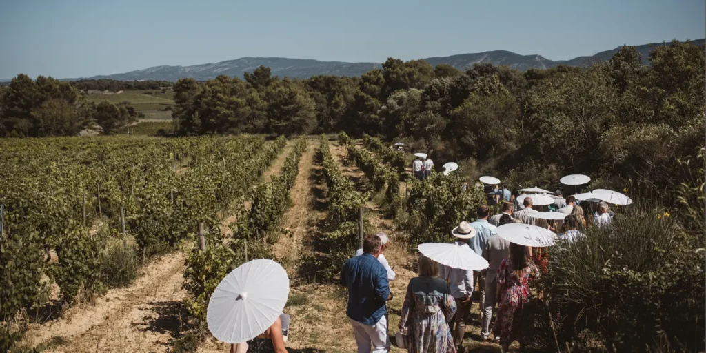 outdoor wedding vineyard france