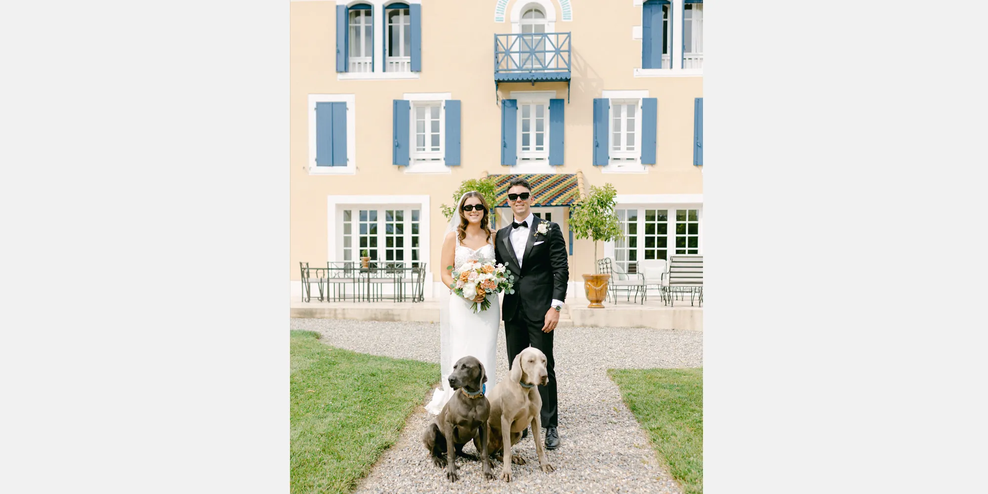 french wedding with dogs