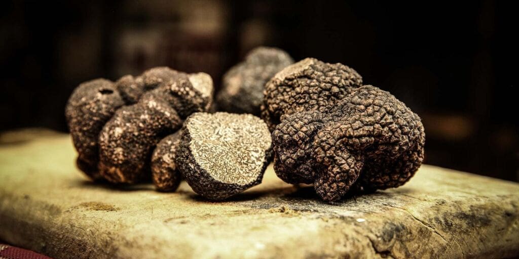 dordogne wedding gastronomy truffle