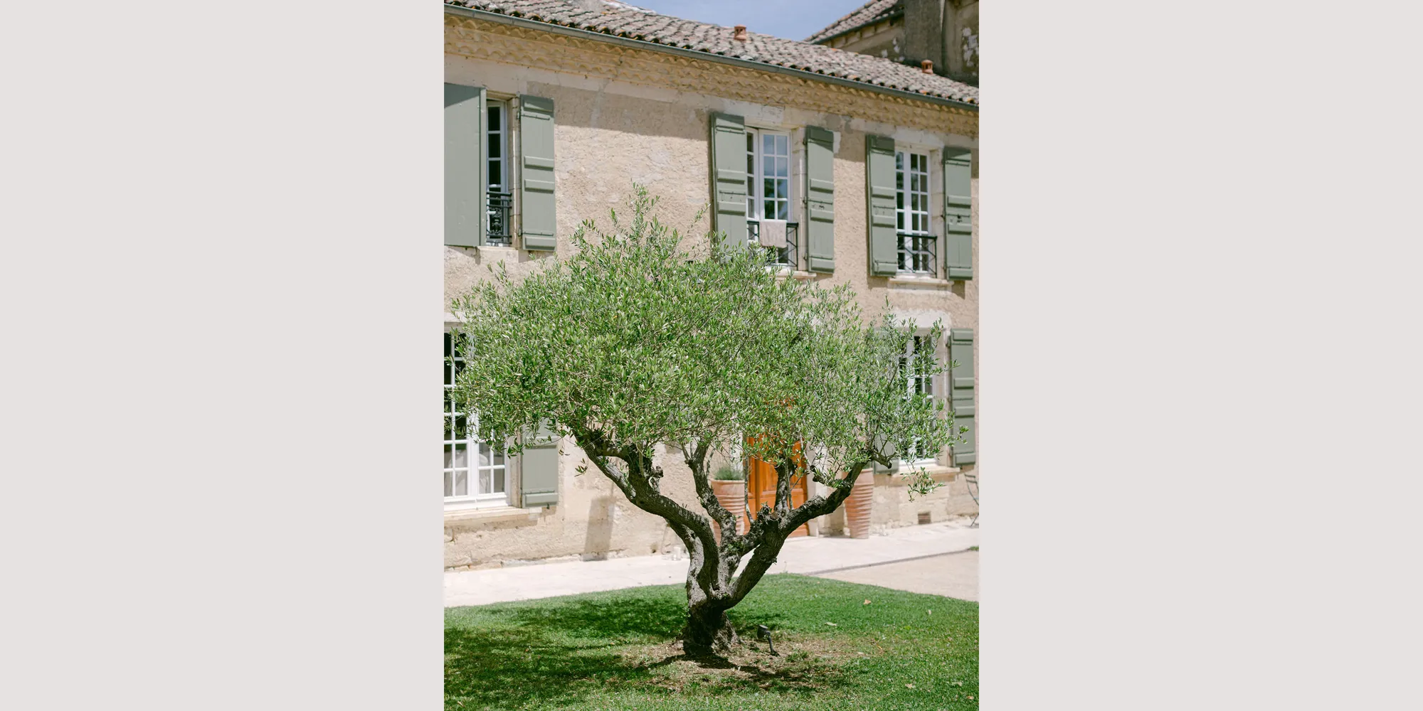 olive tree domaine toulouse wedding