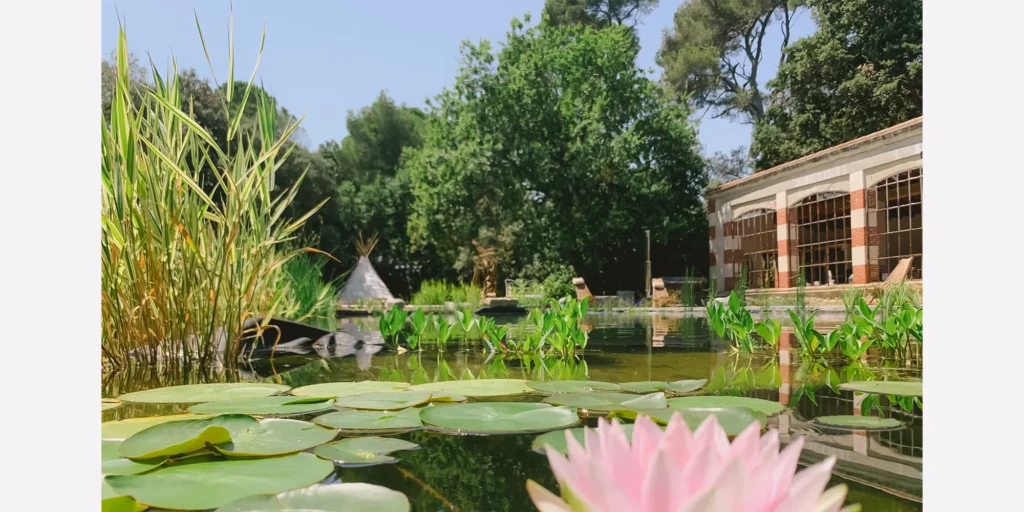 belle eco natural pool