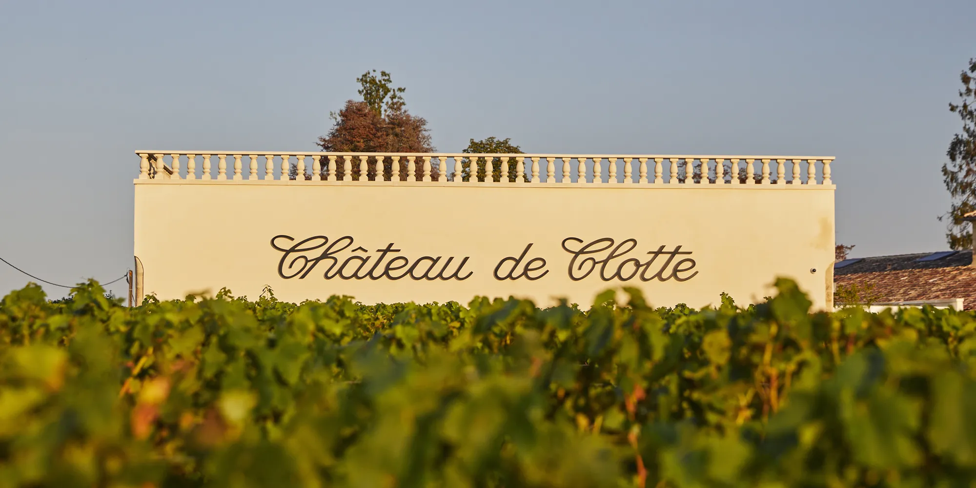 chateau de clotte vineyard wedding emilion