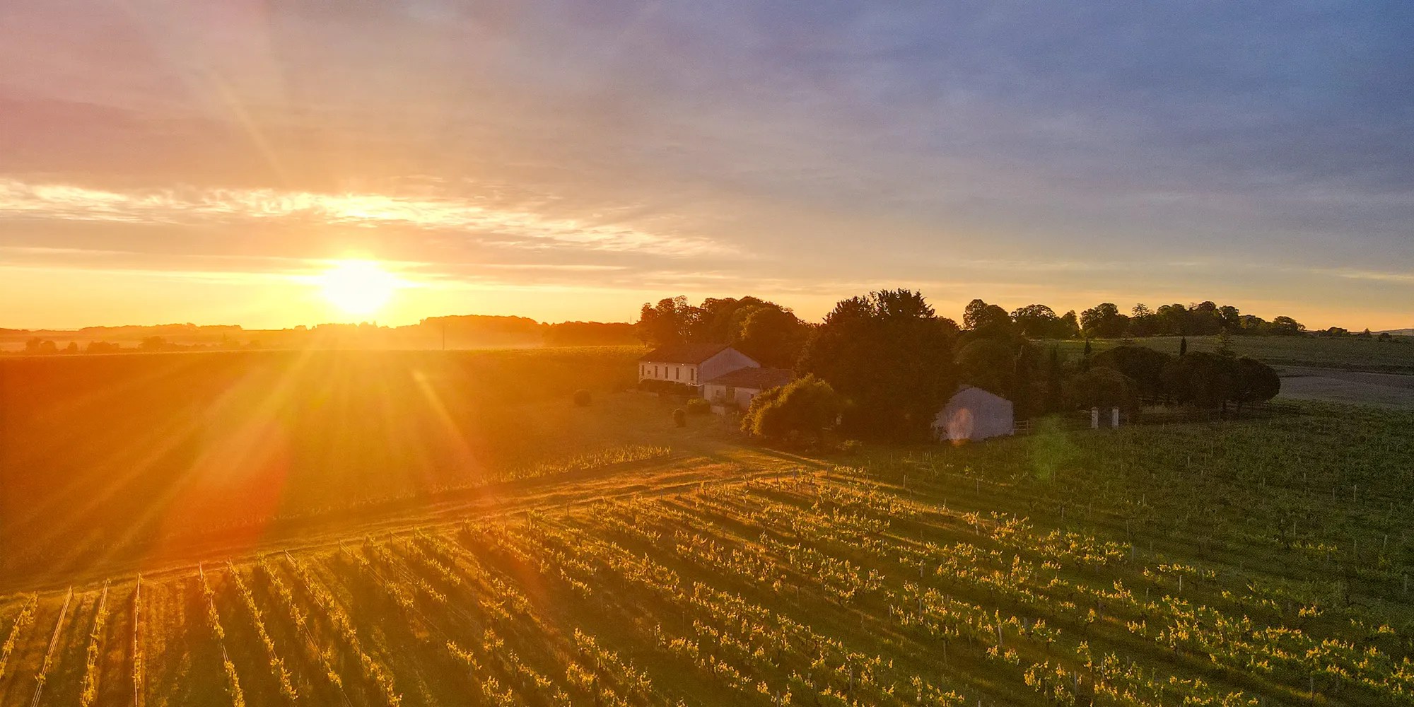 french wedding venue surrounded by vineyard