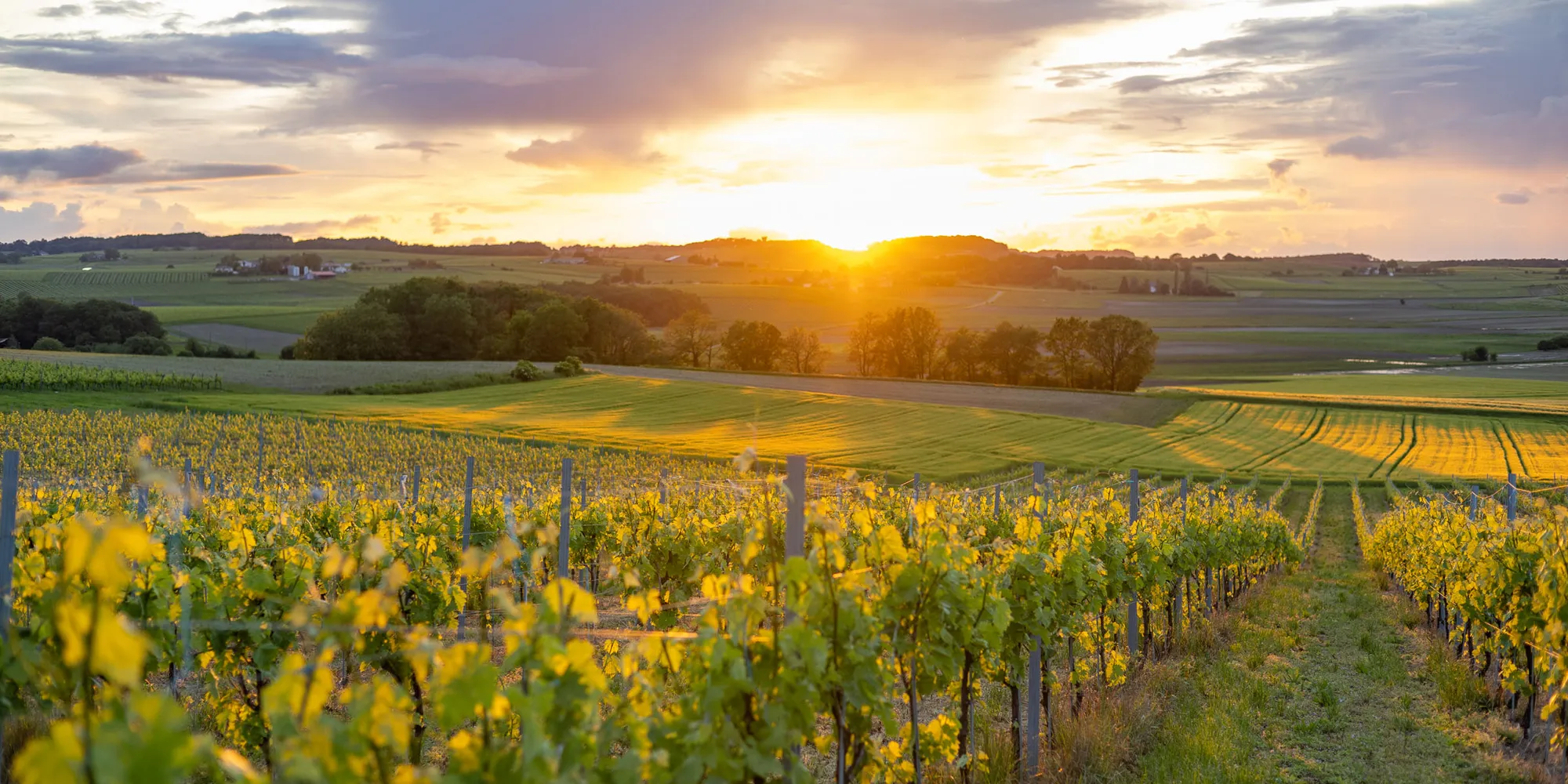 chateau vineyard wedding france