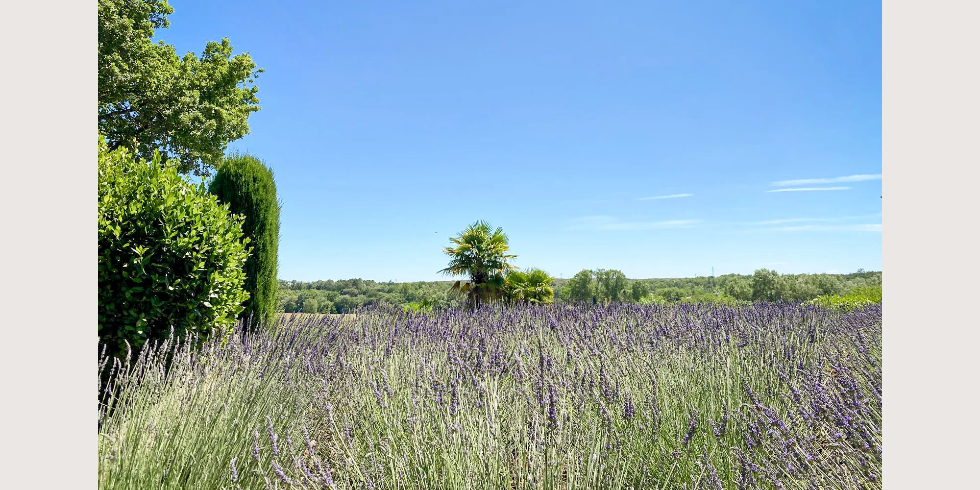 best wedding venue provence