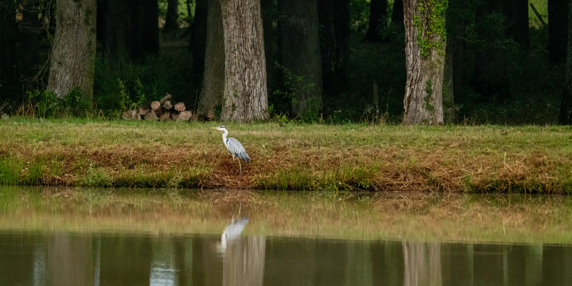 chateau wedding grand near paris