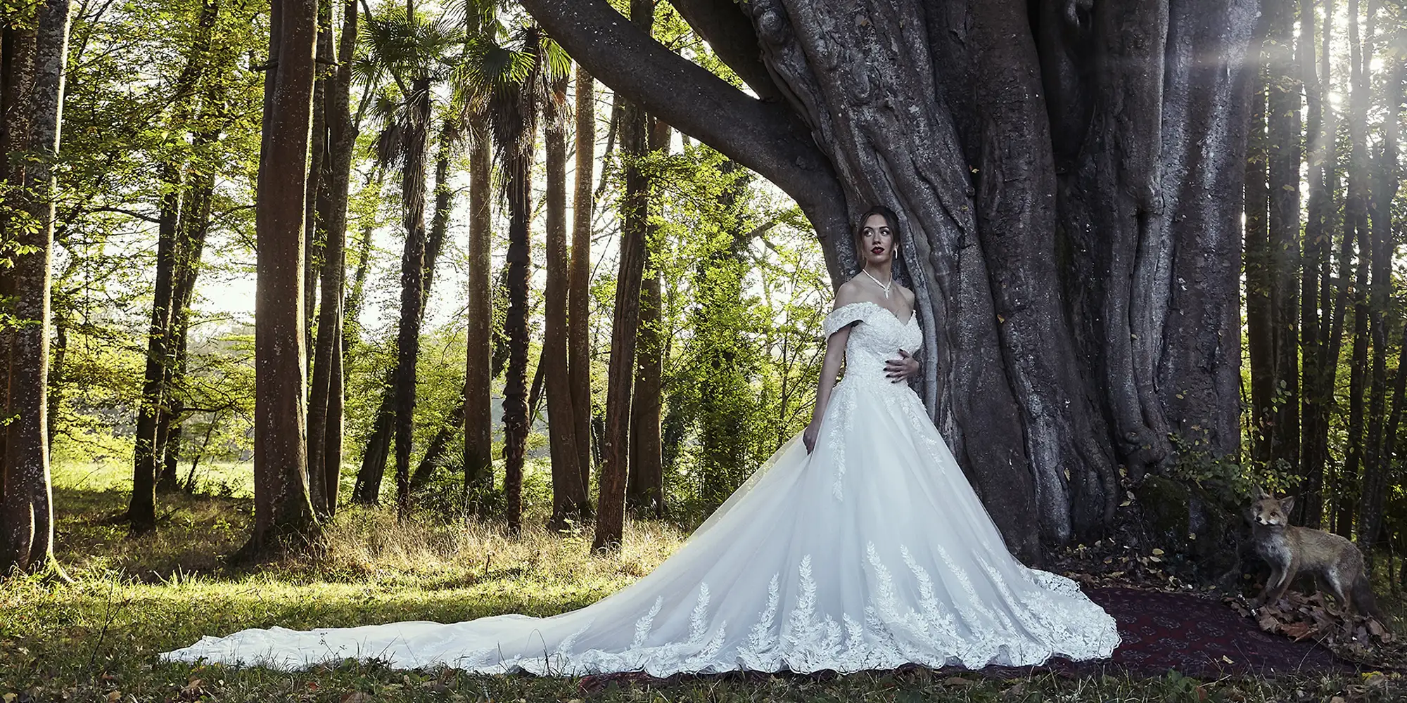 fairytale wedding bride france