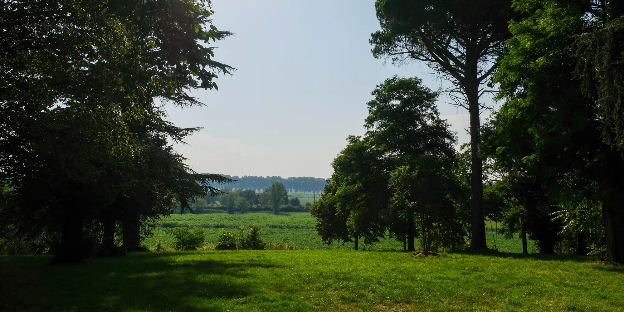 nature wedding france