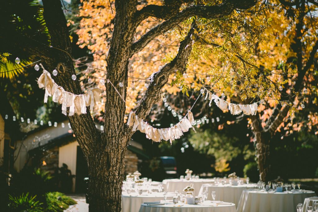 Garden / Backyard wedding, tables and chairs among trees