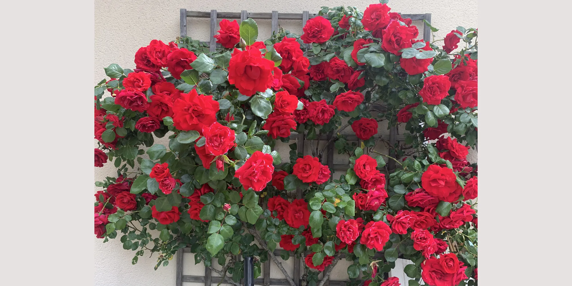 wedding venue in roses france