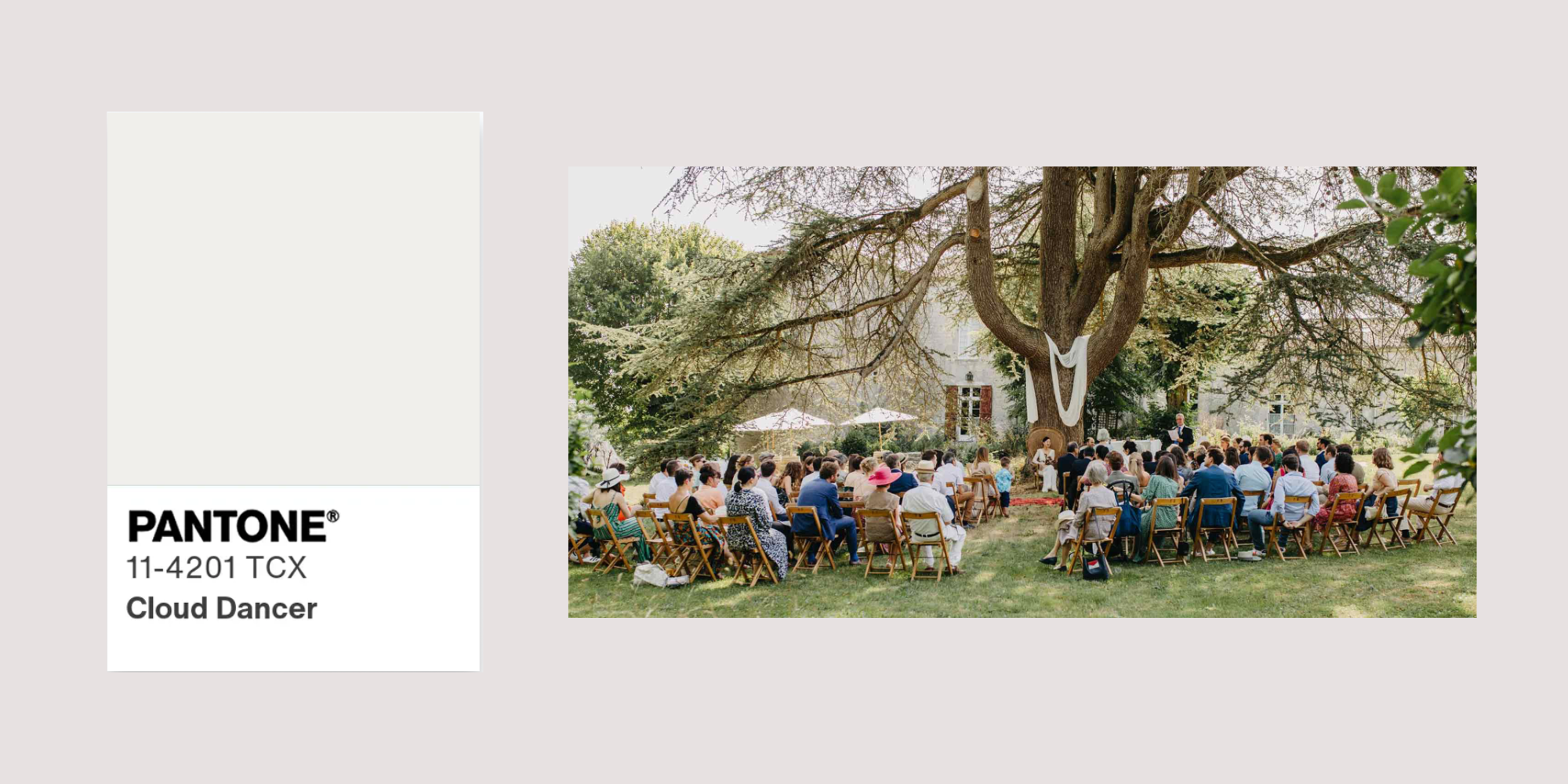 2026 wedding hotlist