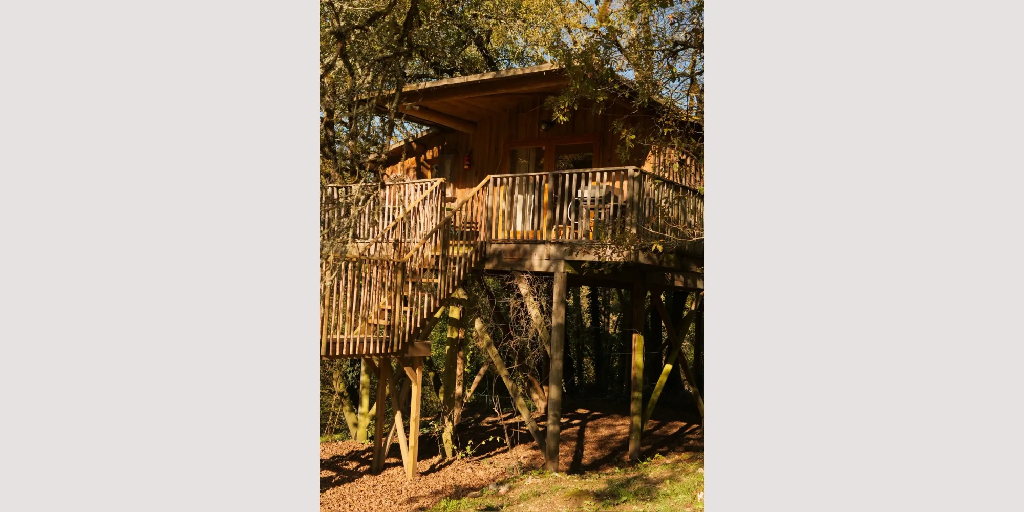 cabins in the trees wedding